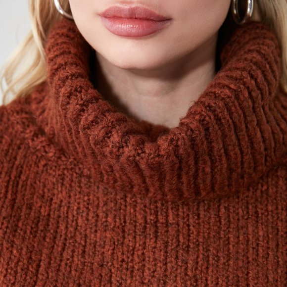 NWT Brown Turtleneck Woman Knitwear Sweater Small - Picture 3 of 8